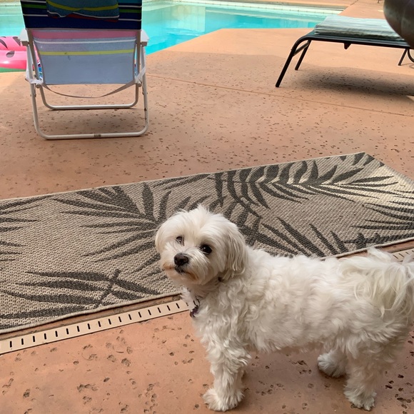 Meet your Posher, Rodica - Picture 9 of 16